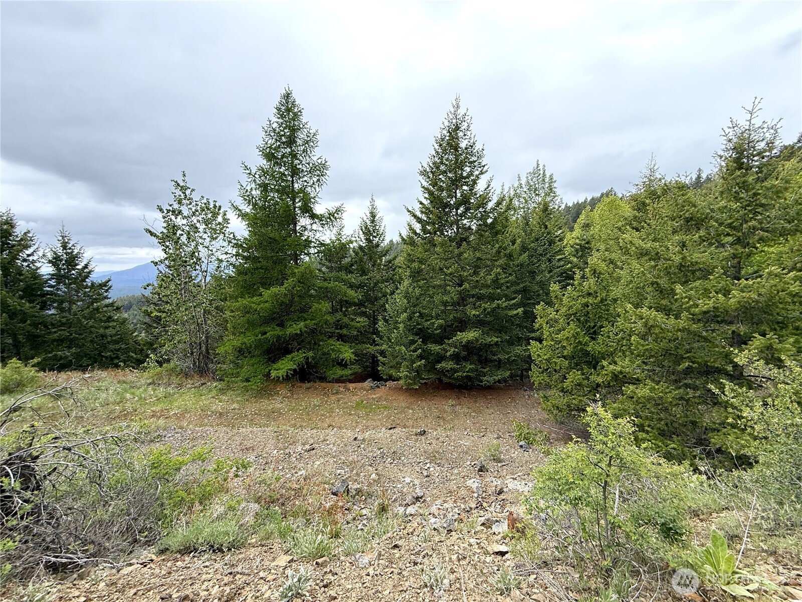 0 Pontiac Ridge Road Oroville, WA 98844 - Photo 21 of 21