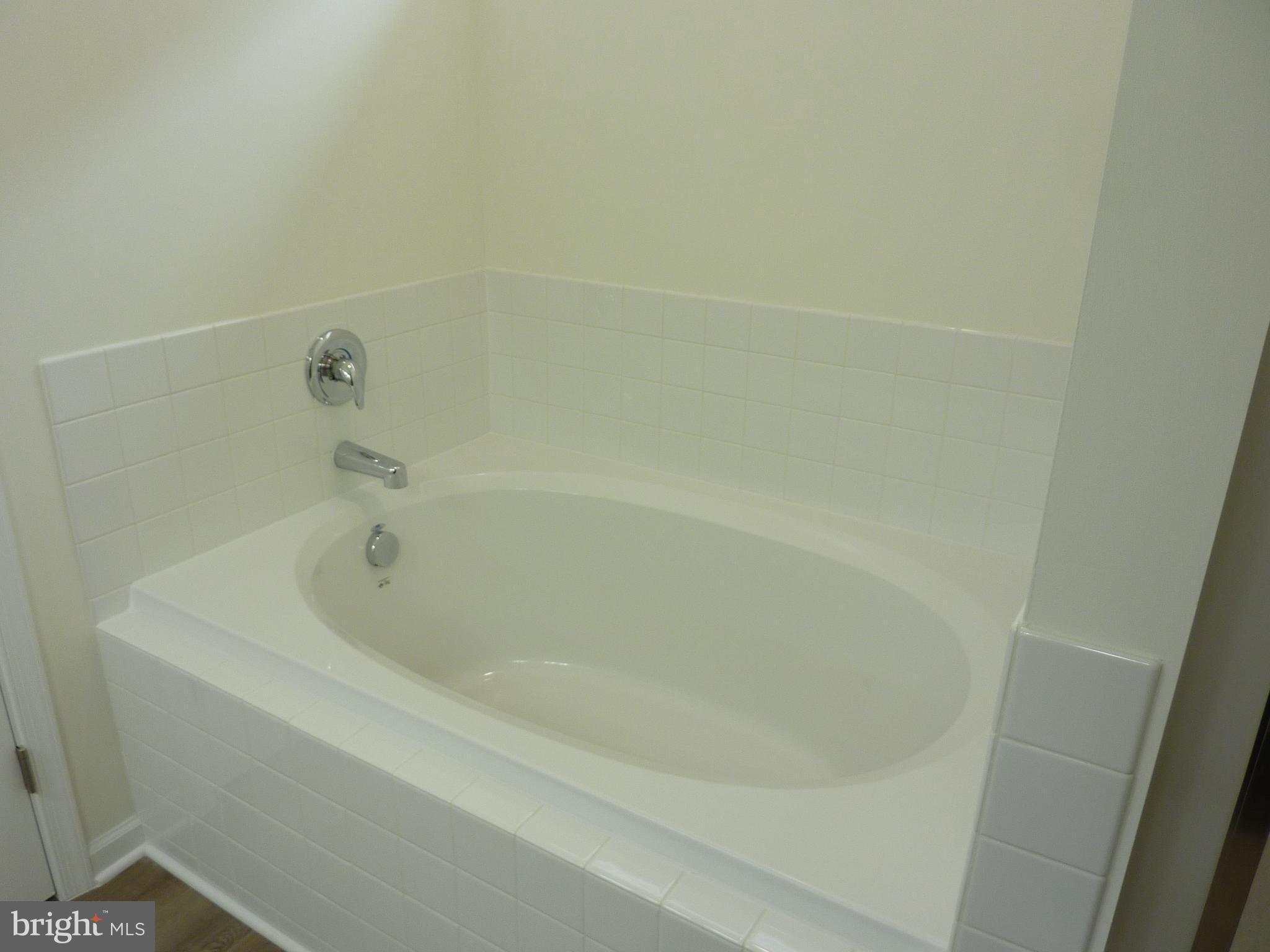 175 Villa Drive Clayton, DE 19938 - Photo 21 of 44 a close up of a bathtub in a bathroom