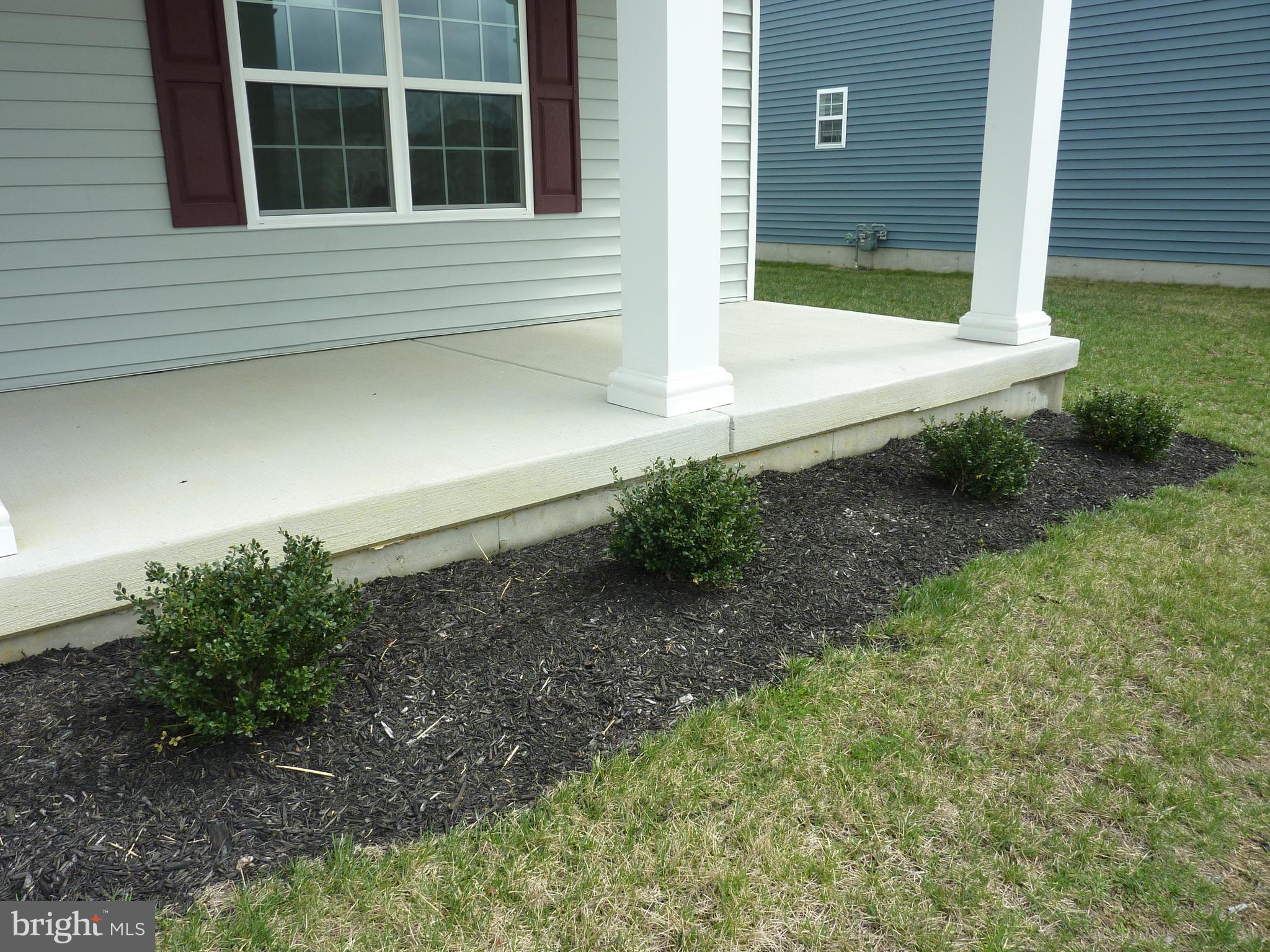 175 Villa Drive Clayton, DE 19938 - Photo 44 of 44 a view of a backyard with plants and large tree