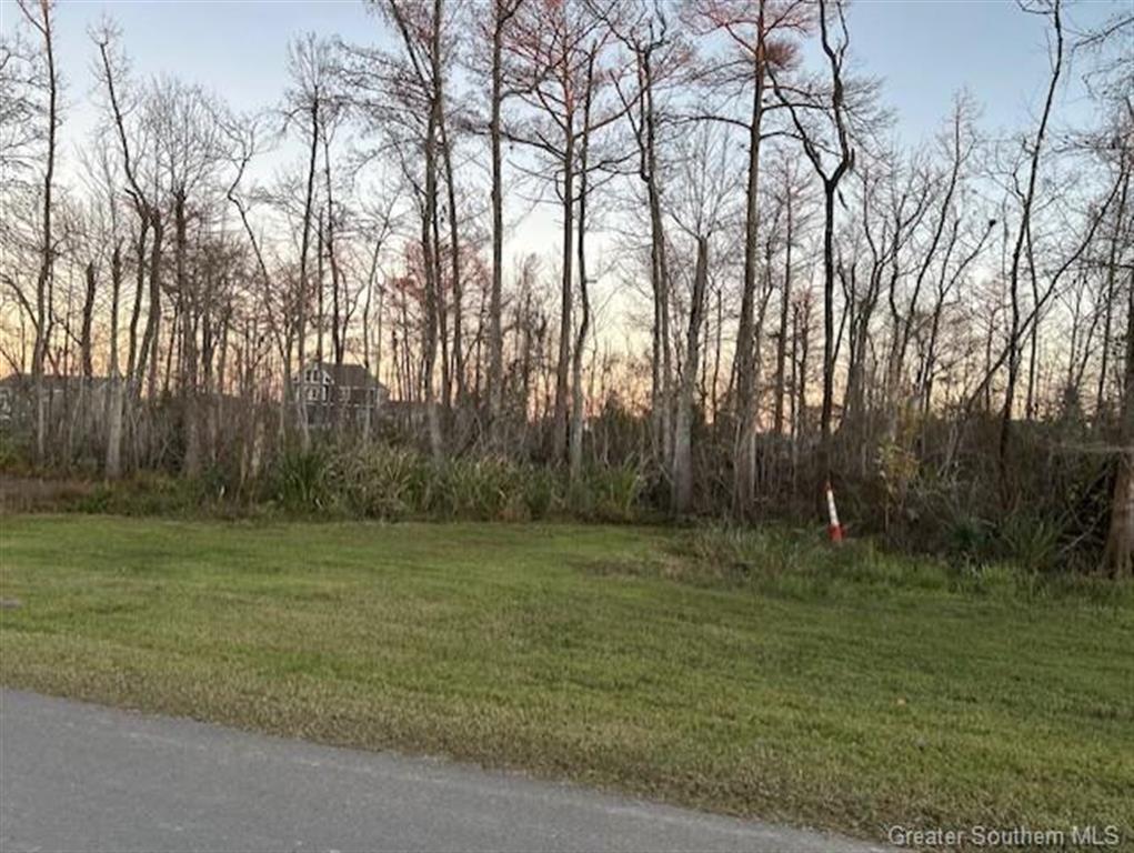 4813 Goos Ferry Road Lake Charles, LA 70615 - Photo 10 of 22