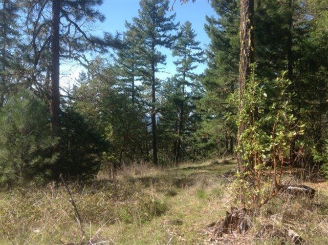 9050 Hillcrest Road Eagle Point, OR 97524 - Photo 16 of 22 Additional Photo