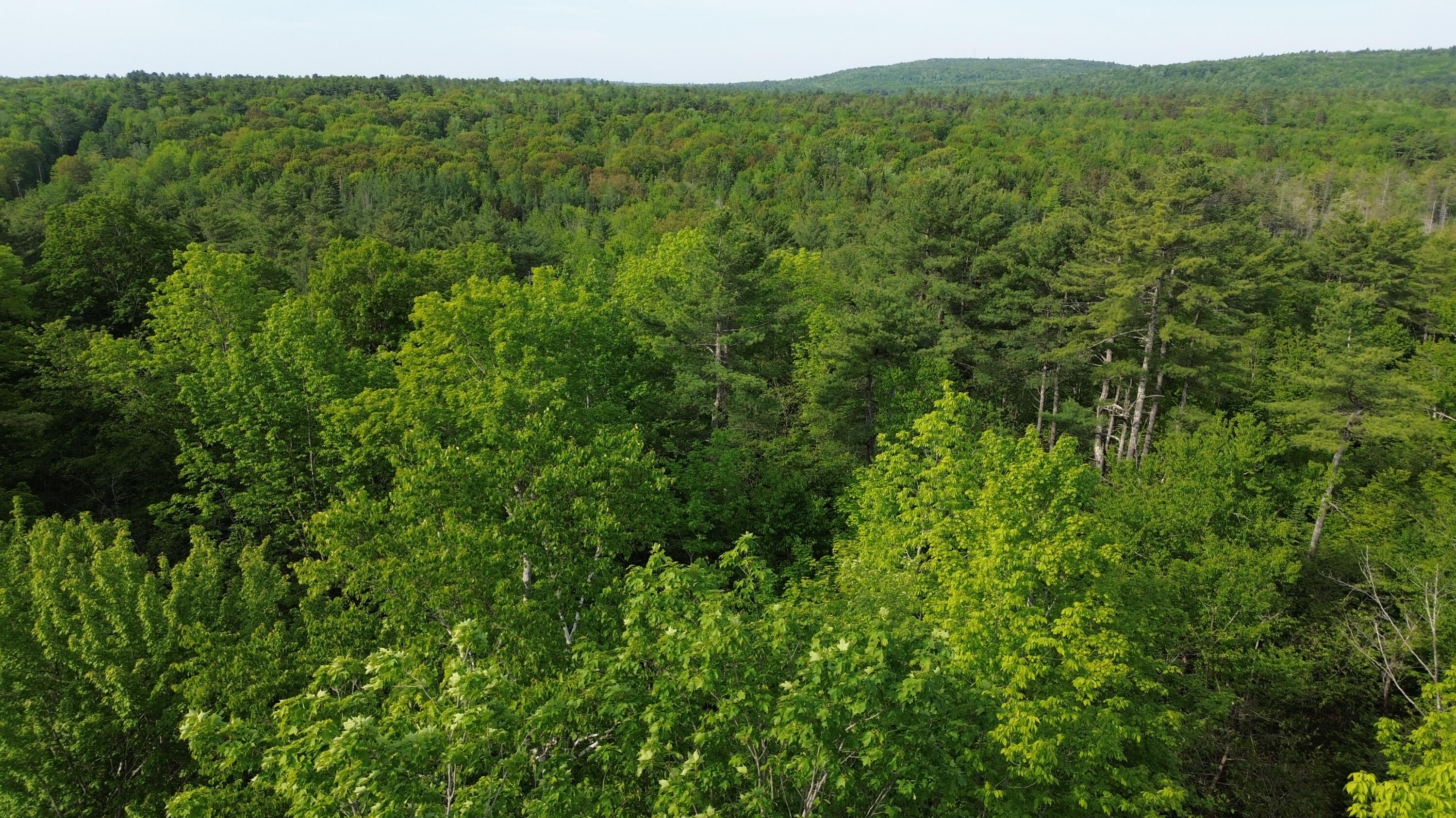 M5-l13 Clark Road Prospect, ME 04981 - Photo 25 of 33 DJI_0118