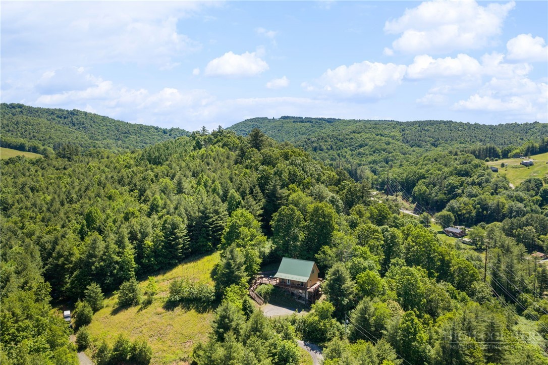 2163 Phillips Gap Road West Jefferson, NC 28694 - Photo 45 of 47