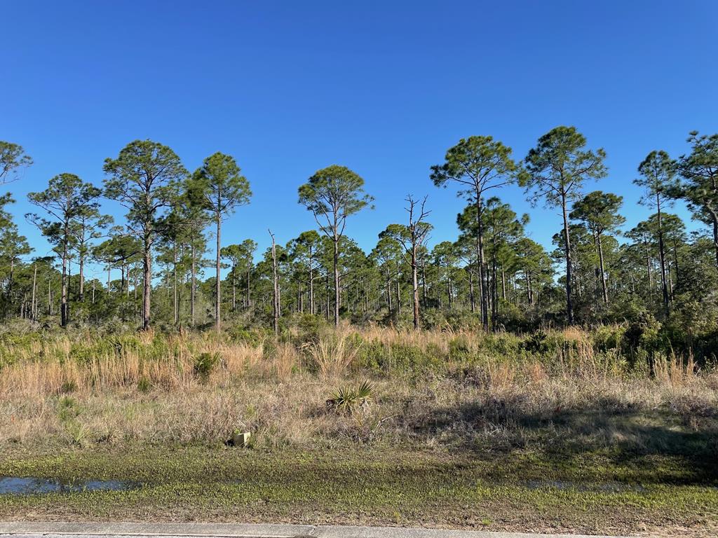 Lot 18 Shallow Reed Dr Port Street Port St. Joe, FL 32456 - Photo 1 of 15