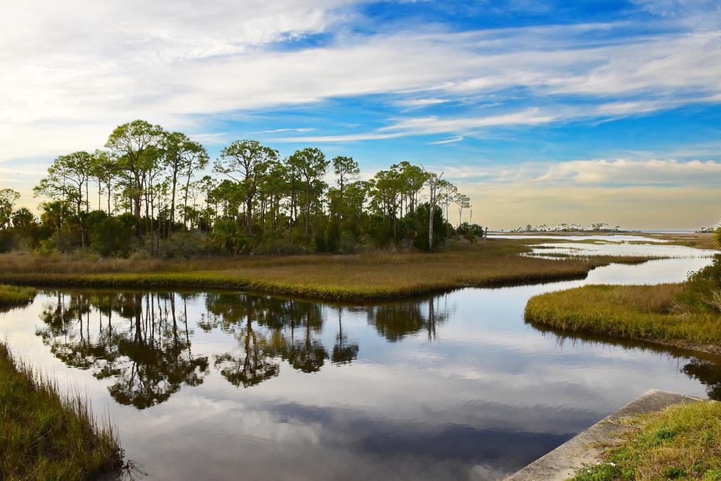 Lot 18 Shallow Reed Dr Port Street Port St. Joe, FL 32456 - Photo 13 of 15