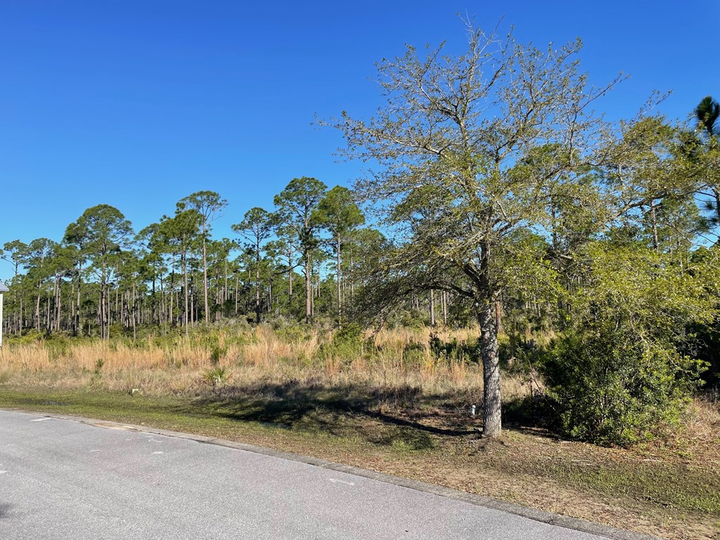 Lot 18 Shallow Reed Dr Port Street Port St. Joe, FL 32456 - Photo 2 of 15