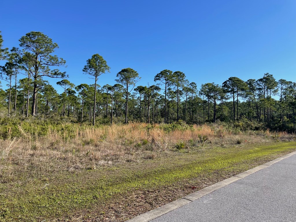 Lot 18 Shallow Reed Dr Port Street Port St. Joe, FL 32456 - Photo 3 of 15