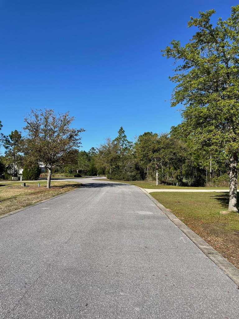 Lot 18 Shallow Reed Dr Port Street Port St. Joe, FL 32456 - Photo 4 of 15