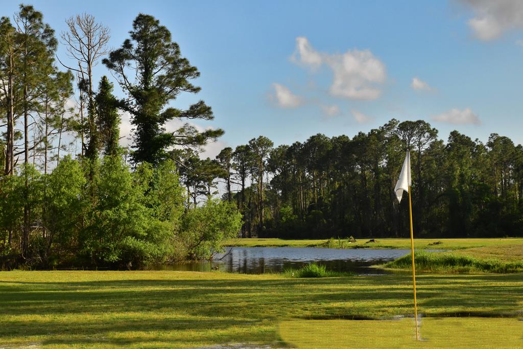 Lot 18 Shallow Reed Dr Port Street Port St. Joe, FL 32456 - Photo 10 of 15