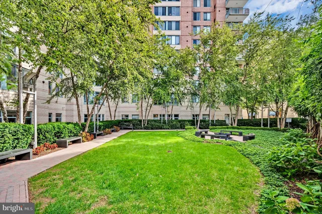 a garden with trees in front of it