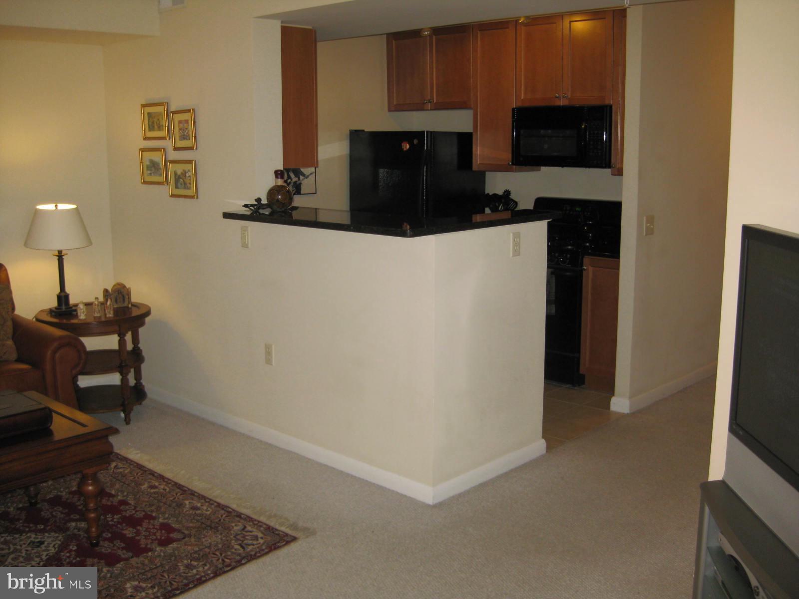 851 North Glebe Road, Unit 1606 Arlington, VA 22203 - Photo 8 of 13