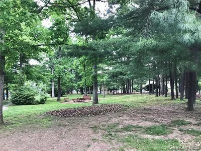 a view of a park with large trees