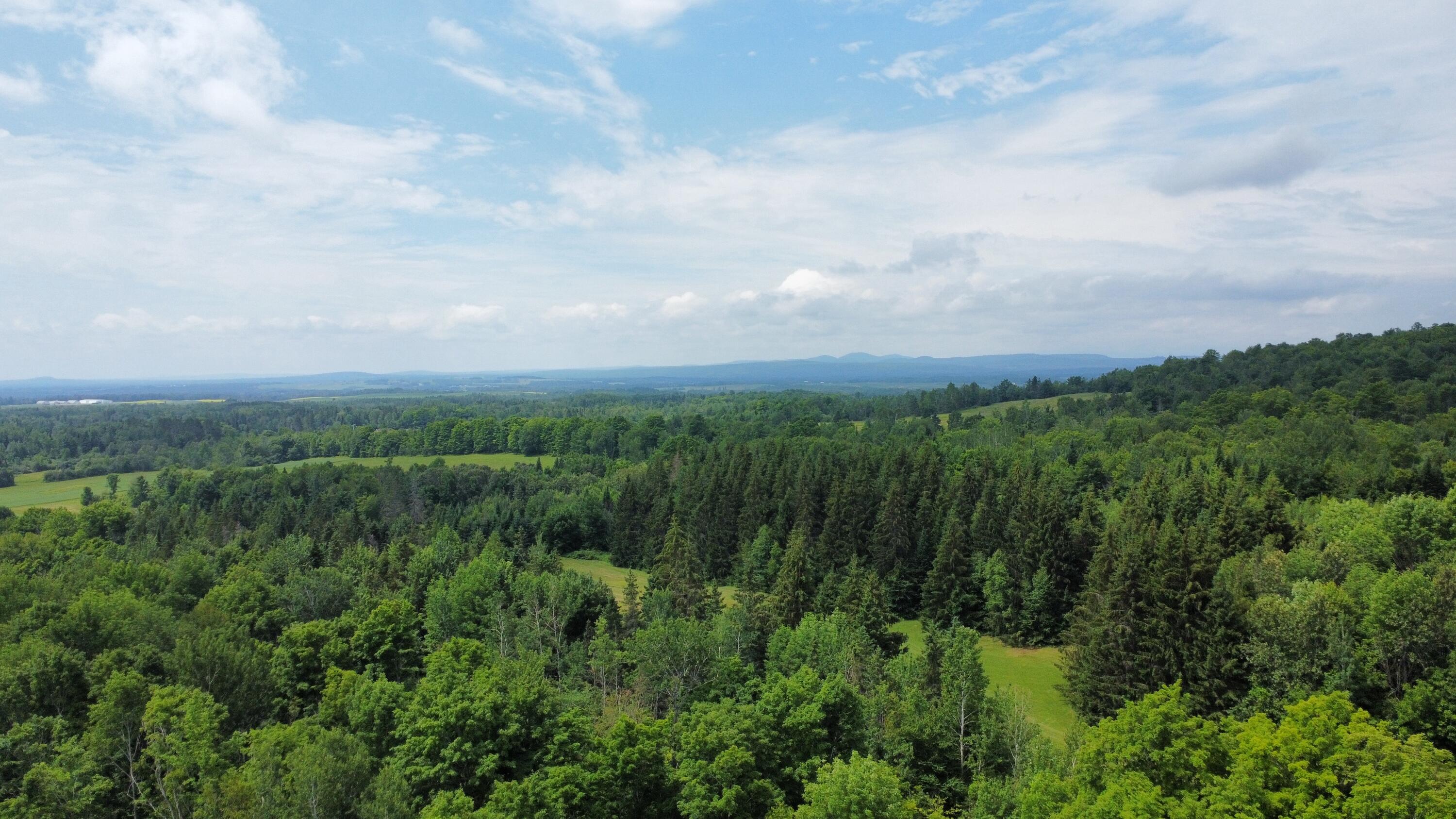181 Gustin Road Blaine, ME 04734 - Photo 7 of 41 dji_fly_20240705_112848_513_172019337044
