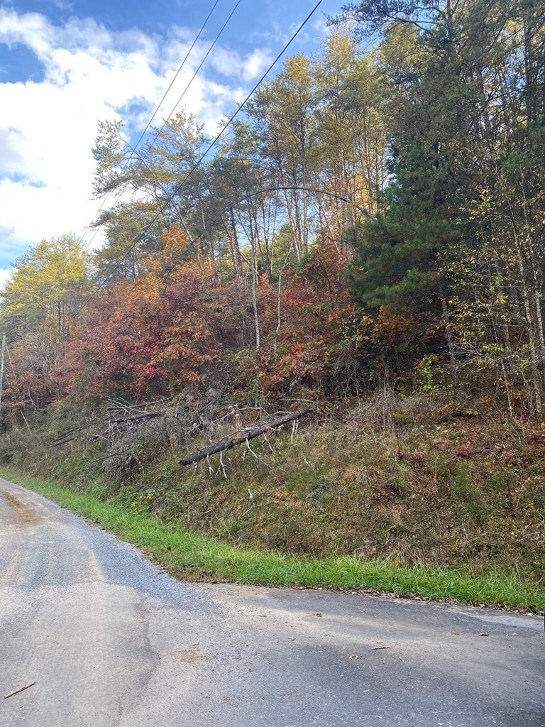 0 Maples Branch Road Sevierville, TN 37876 - Photo 4 of 9