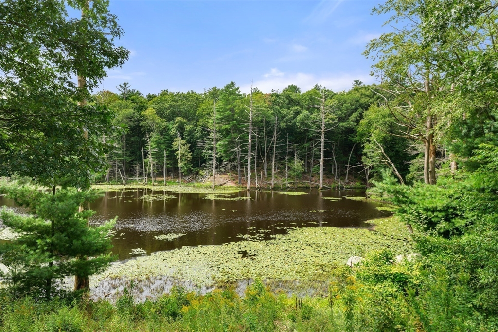 10 Wilson's Way Dover, MA 02030 - Photo 41 of 42 a view of a lake view