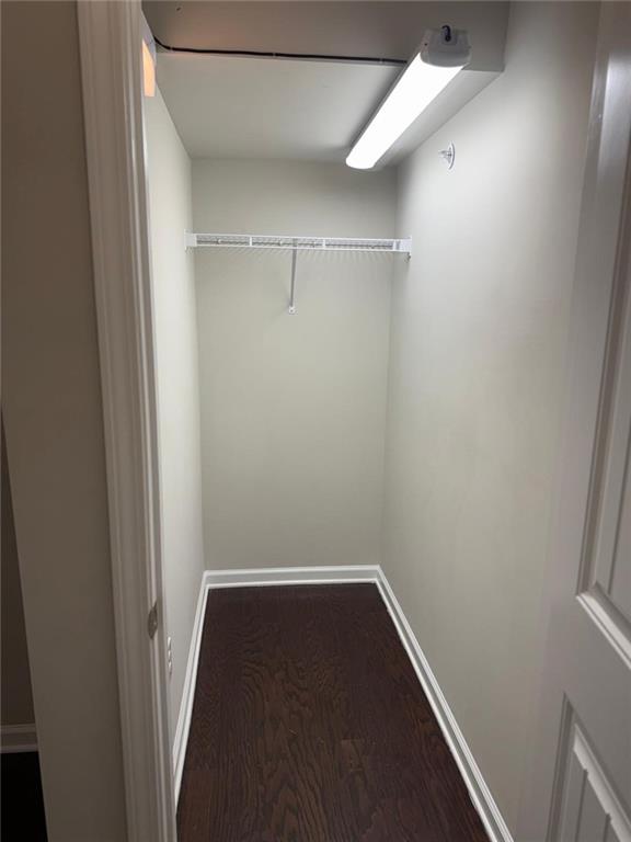 1219 Fischer Trace Cumming, GA 30041 - Photo 8 of 20 a view of closet