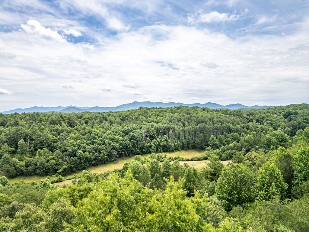 1 Stormy Ridge Brasstown, NC 28902 - Photo 12 of 20