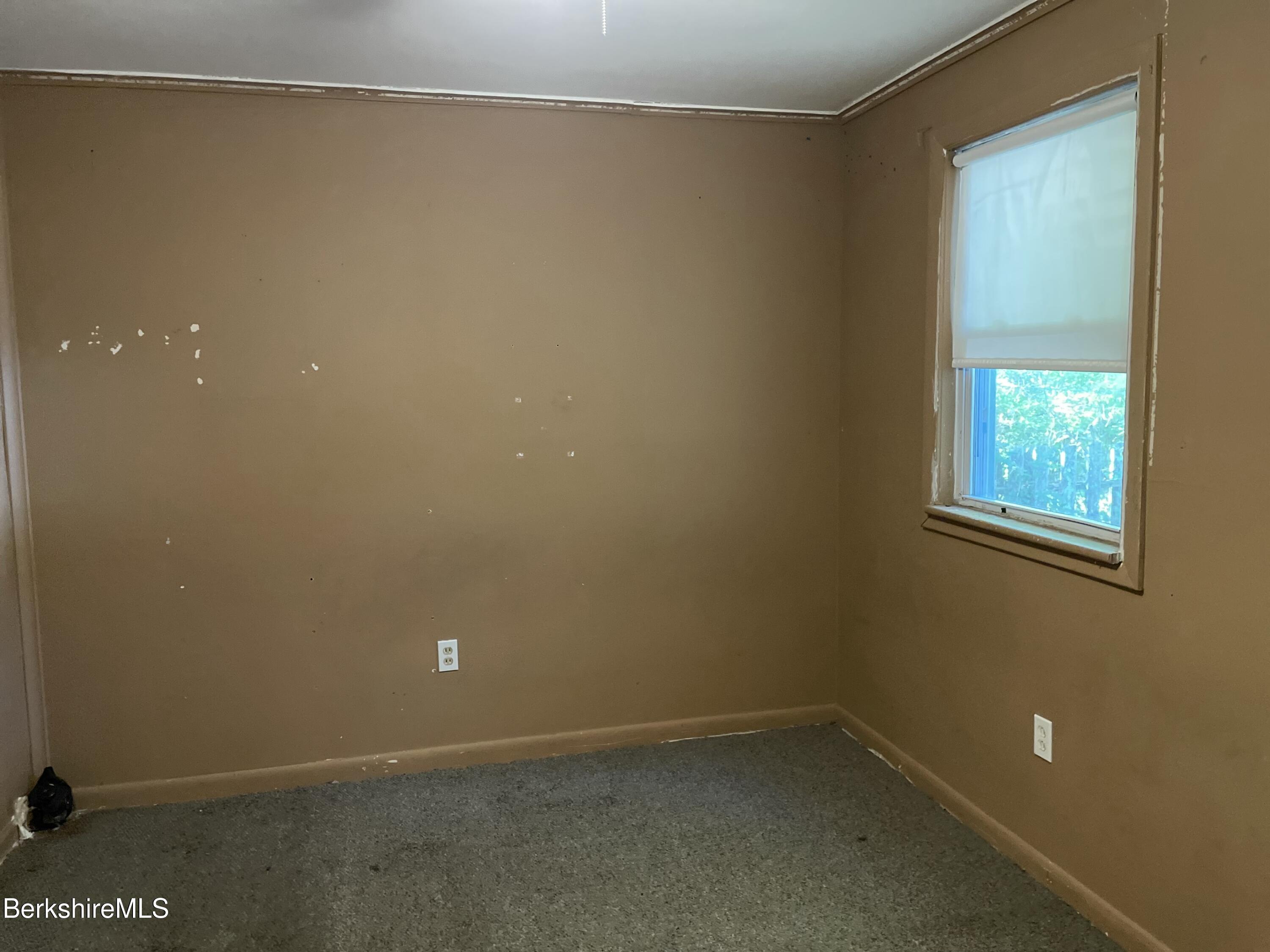 156 Elizabeth Street Pittsfield, MA 01201 - Photo 16 of 36 20251006_140003072_iOS