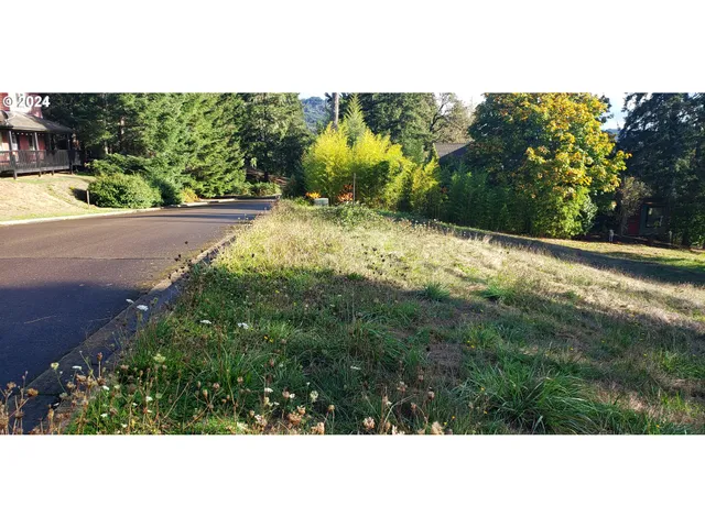 $65,000 | 284 Edgeview Drive, Elkton, OR 97436