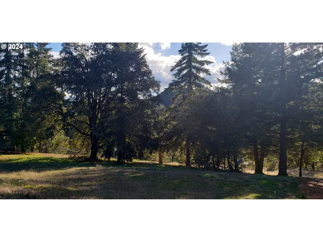 $65,000 | 284 Edgeview Drive, Elkton, OR 97436