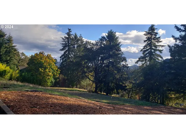 $65,000 | 284 Edgeview Drive, Elkton, OR 97436