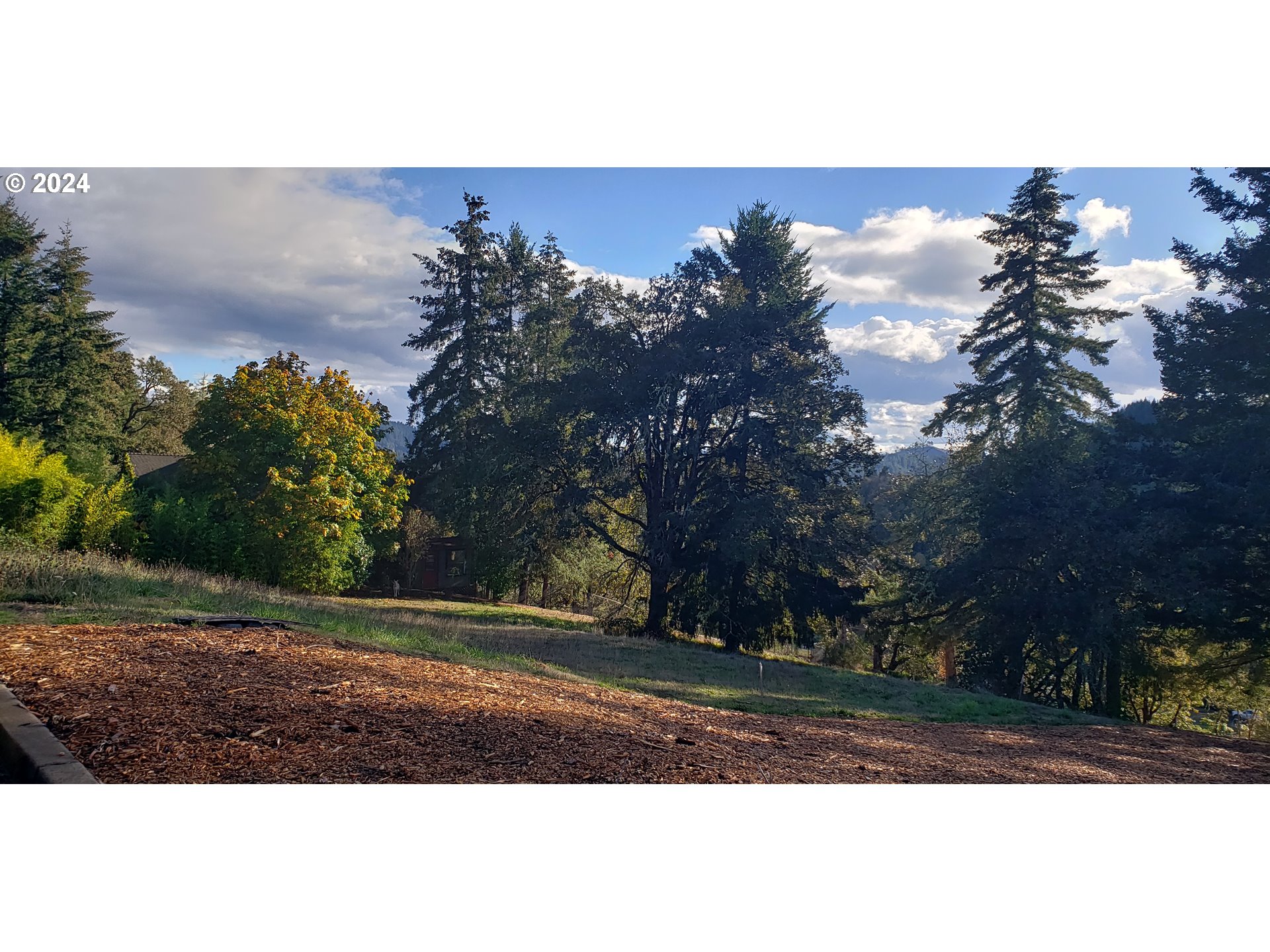 284 Edgeview Drive Elkton, OR 97436 - Photo 3 of 3