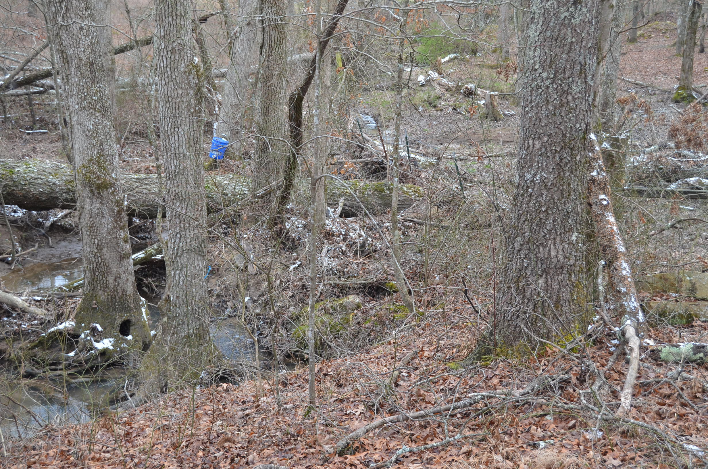 Parnell Road Crossville, TN 38572 - Photo 14 of 23 14