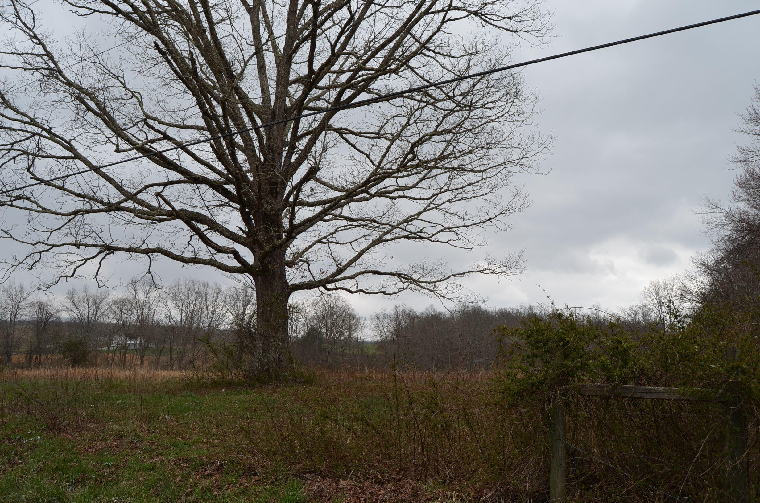 Parnell Road Crossville, TN 38572 - Photo 3 of 23 3