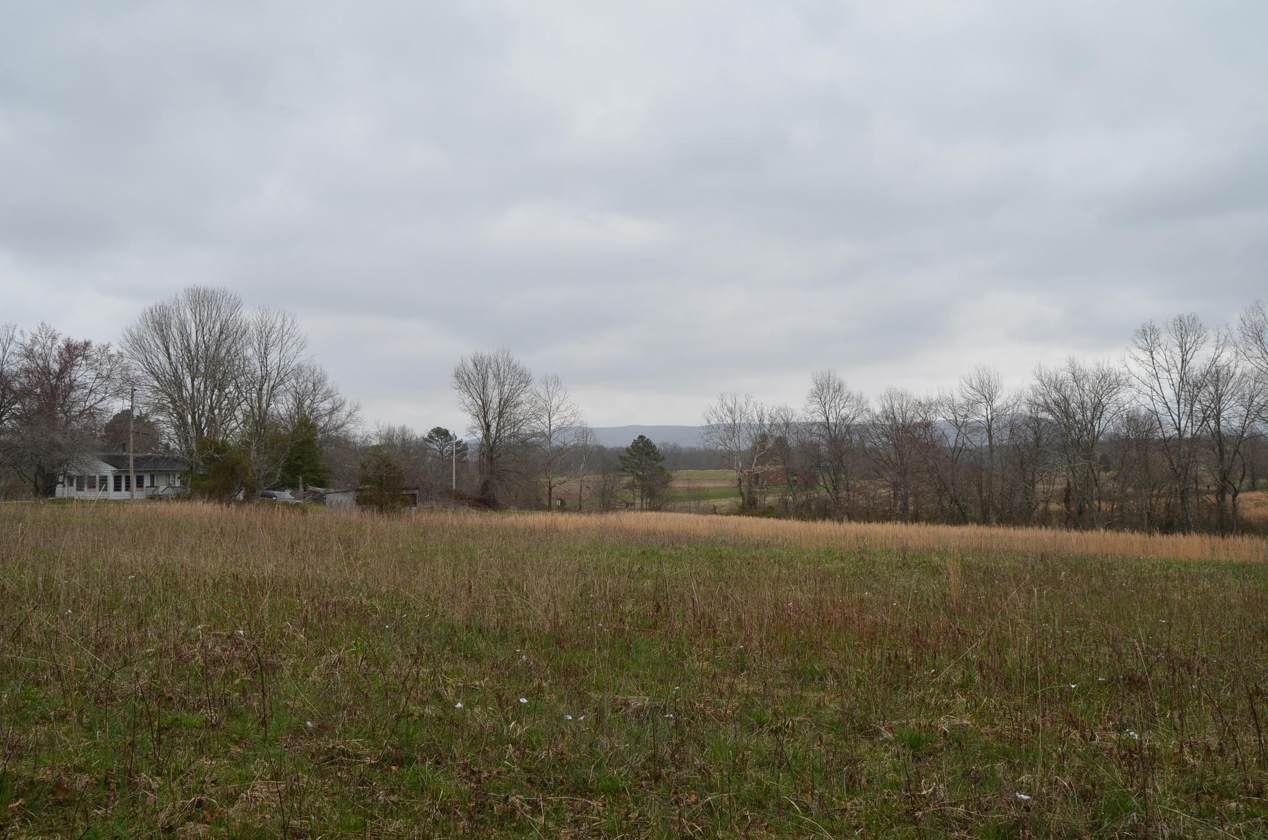 Parnell Road Crossville, TN 38572 - Photo 8 of 23 8