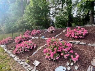3229 Douglas Fir Road Raleigh, NC 27616 - Photo 29 of 30 roses8