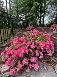 3229 Douglas Fir Road Raleigh, NC 27616 - Photo 30 of 30 roses3