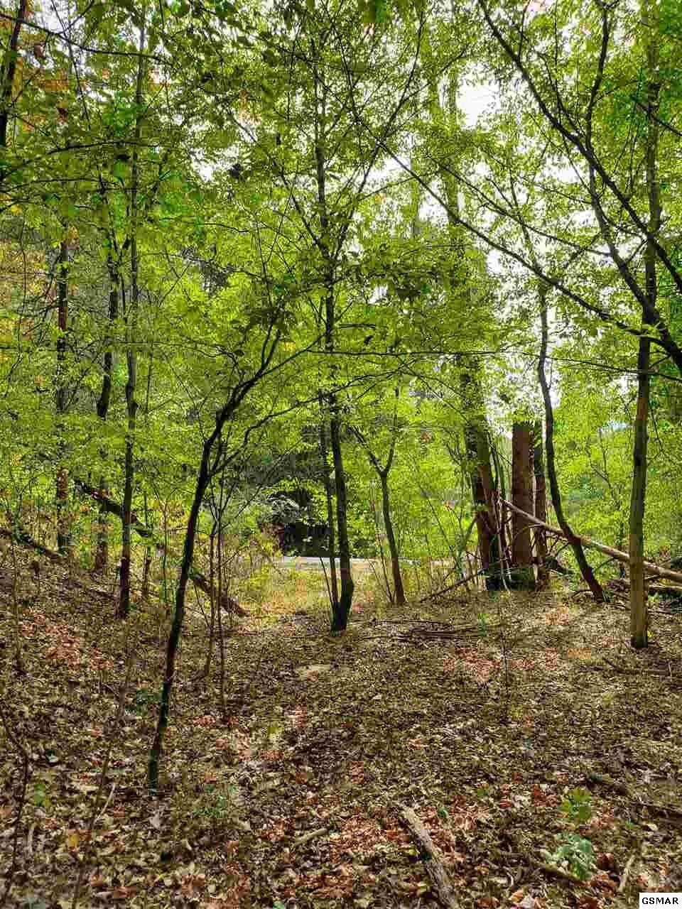 0 Shell Mountain Road Sevierville, TN 37876 - Photo 29 of 35