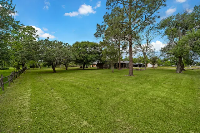 a view of yard with grass and a trees