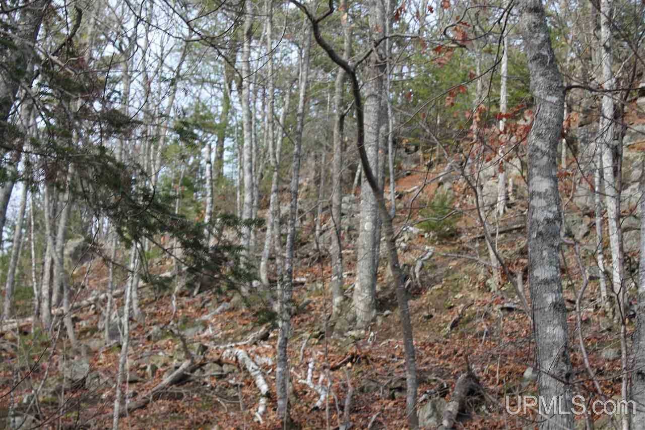 Tbd Tbd Off Mandan Loop Road Mohawk, MI 49950 - Photo 20 of 42