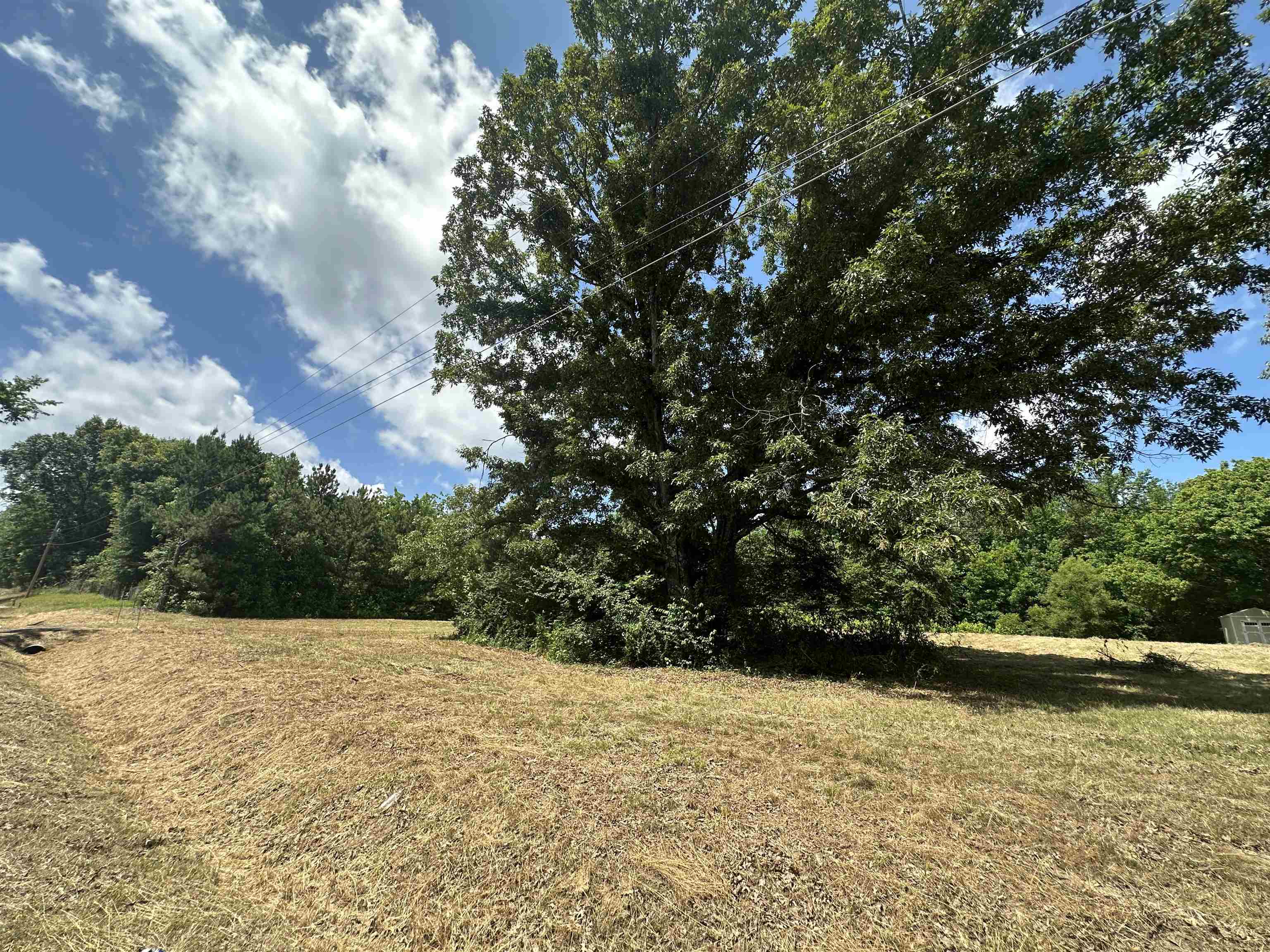 2015 Bell Grove Road Oakland, TN 38060 - Photo 2 of 3 a view of outdoor space and yard