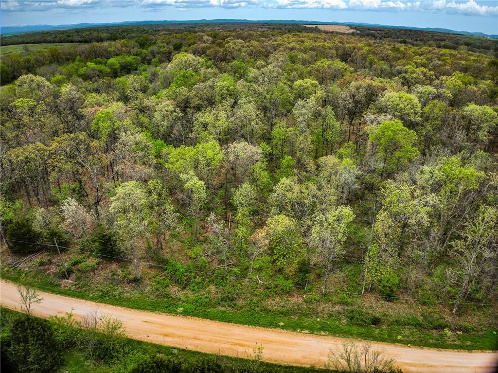 Lot 2 South 725 Road Stockton, MO 65785 - Photo 44 of 48