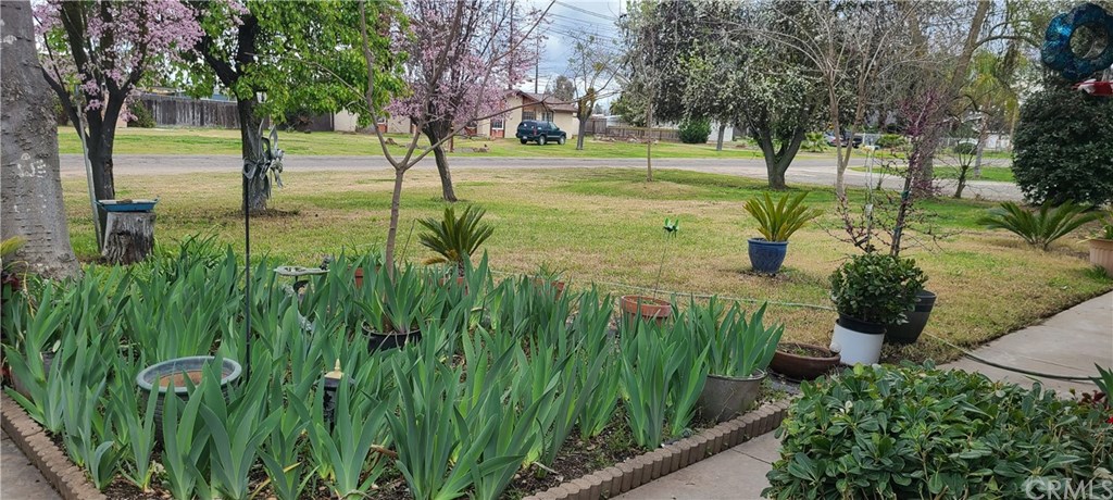 18070 Daley Road Madera, CA 93638 - Photo 5 of 23 Gallery Image 5