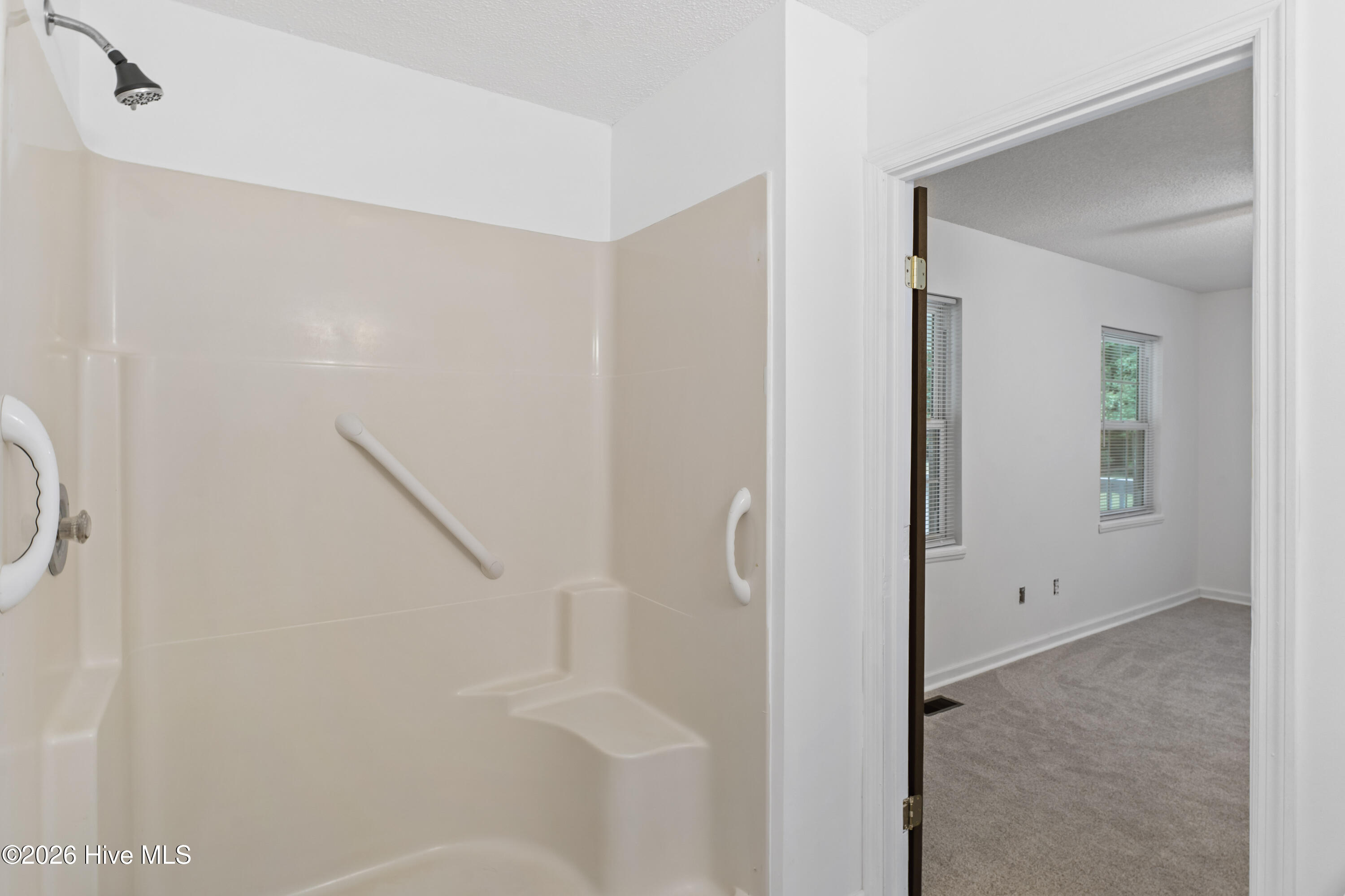 7358 Ivanhoe Road Ivanhoe, NC 28447 - Photo 28 of 38 19-DSC06594