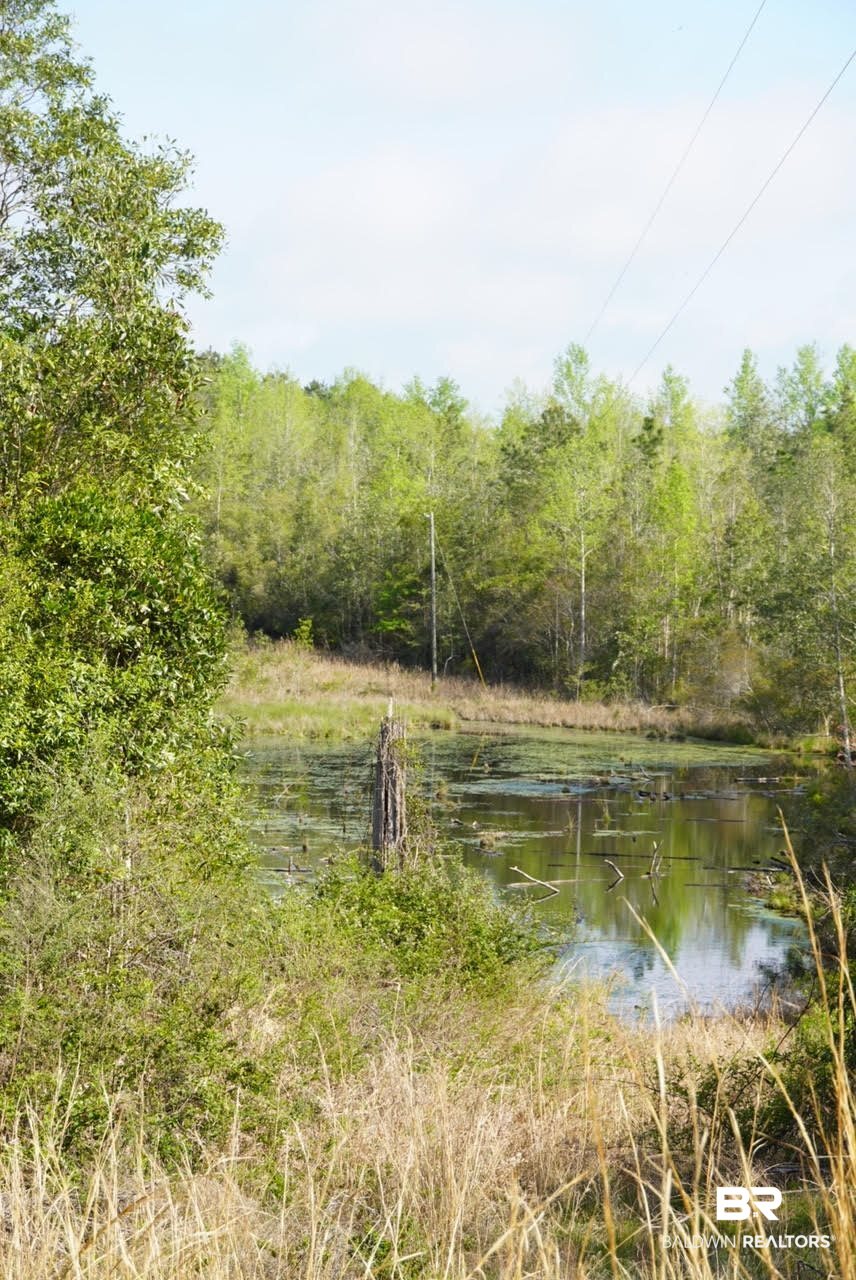 1069 Cemetery Road Range, AL 36473 - Photo 25 of 26