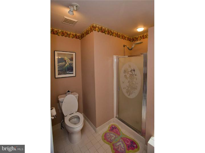702 Tryens Road Aston, PA 19014 - Photo 11 of 19 Master Bathroom