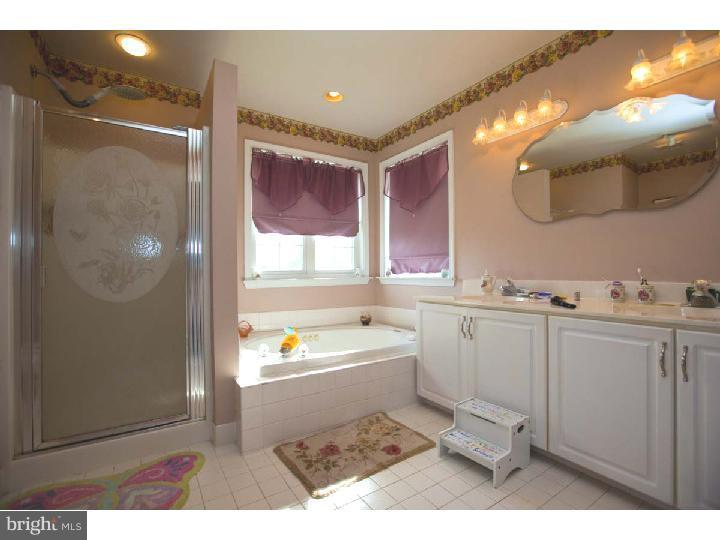 702 Tryens Road Aston, PA 19014 - Photo 10 of 19 Master Bathroom