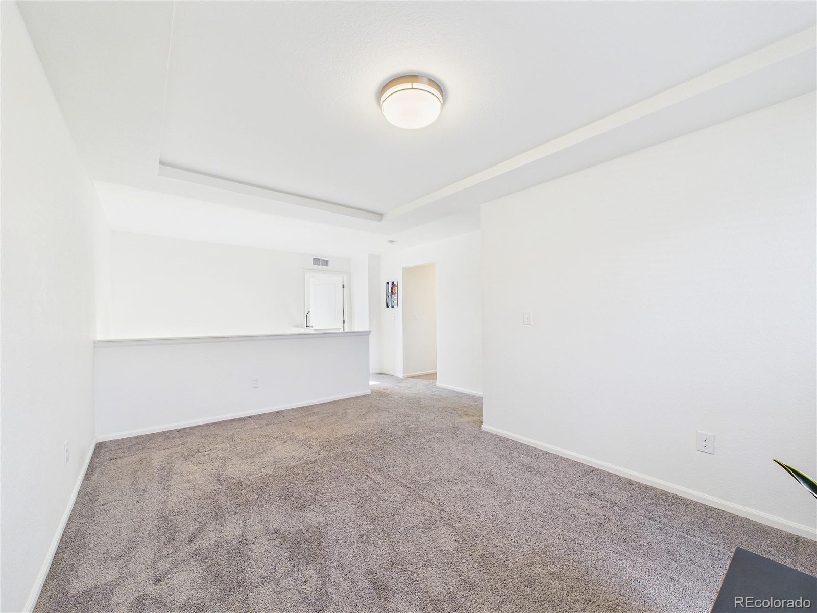 10541 Racine Way Commerce City, CO 80022 - Photo 18 of 46