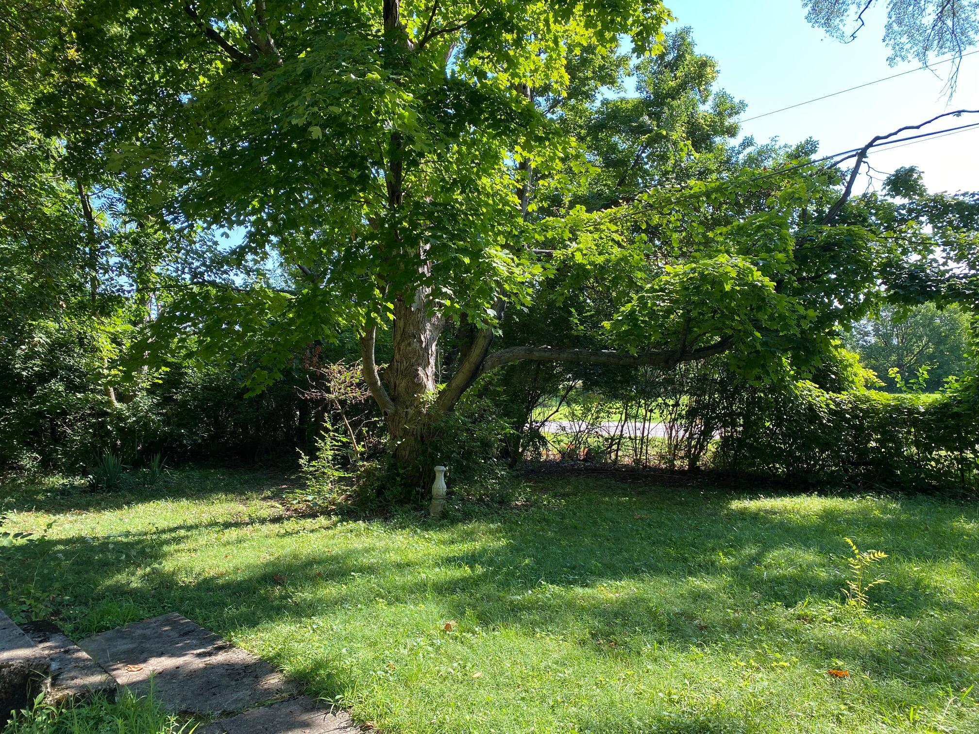 2521 Mc Comb Road Grove City, OH 43123 - Photo 3 of 24 2521 McComb Rd