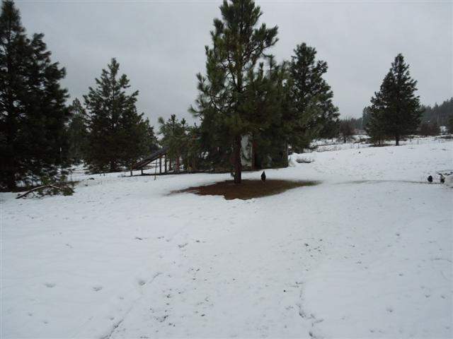 24410 North Perry Road Colbert, WA 99005 - Photo 20 of 20