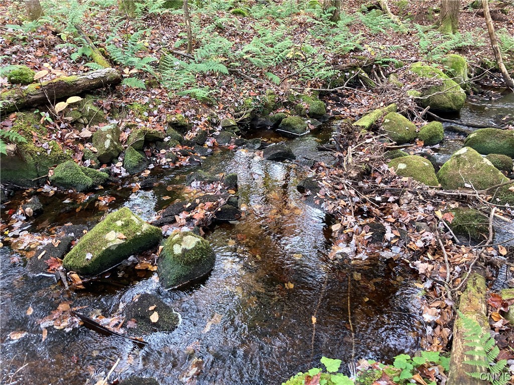 0 Route 365 Remsen Ny  