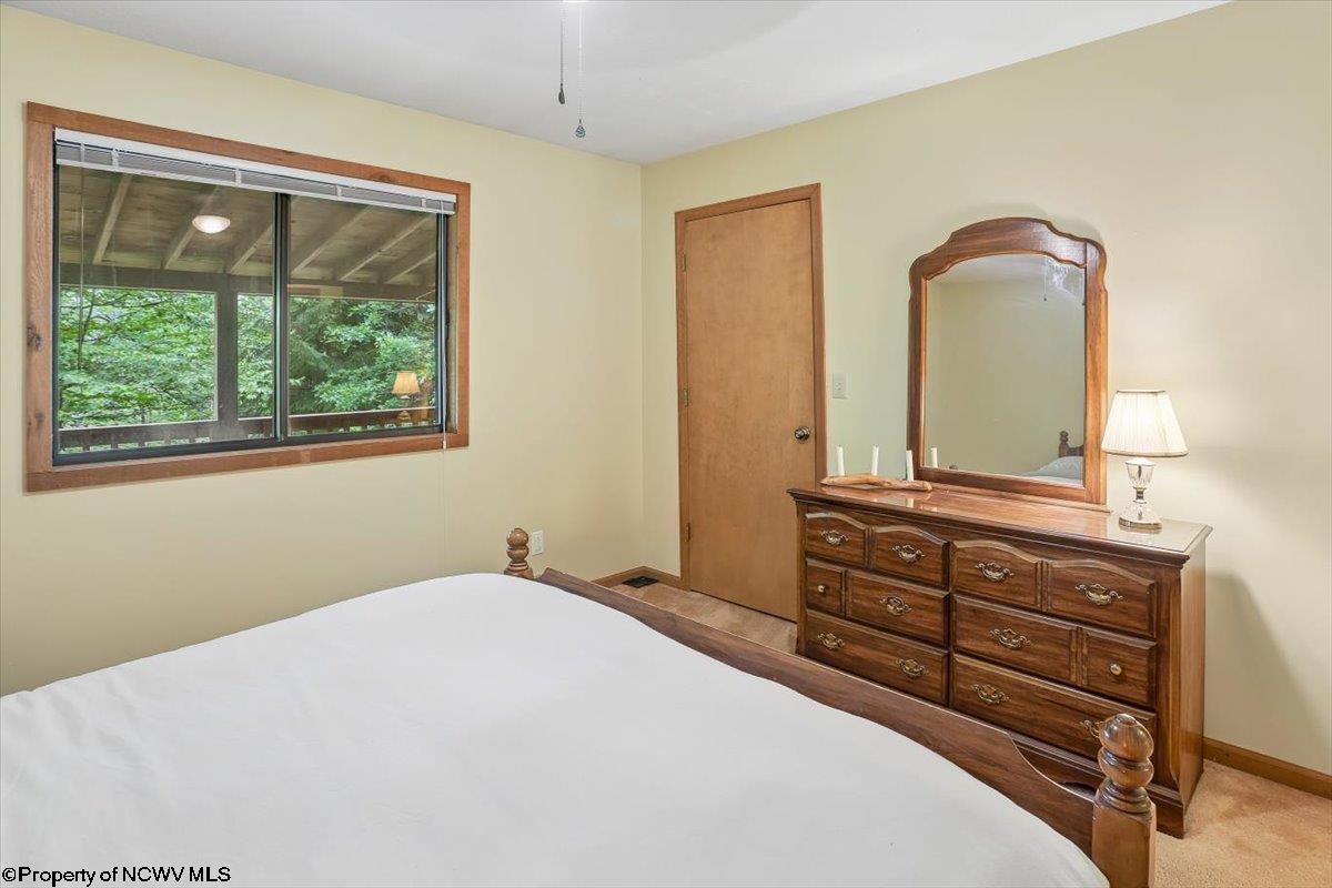 352 Ridge Road Davis, WV 26260 - Photo 21 of 47 Gallery Image 21