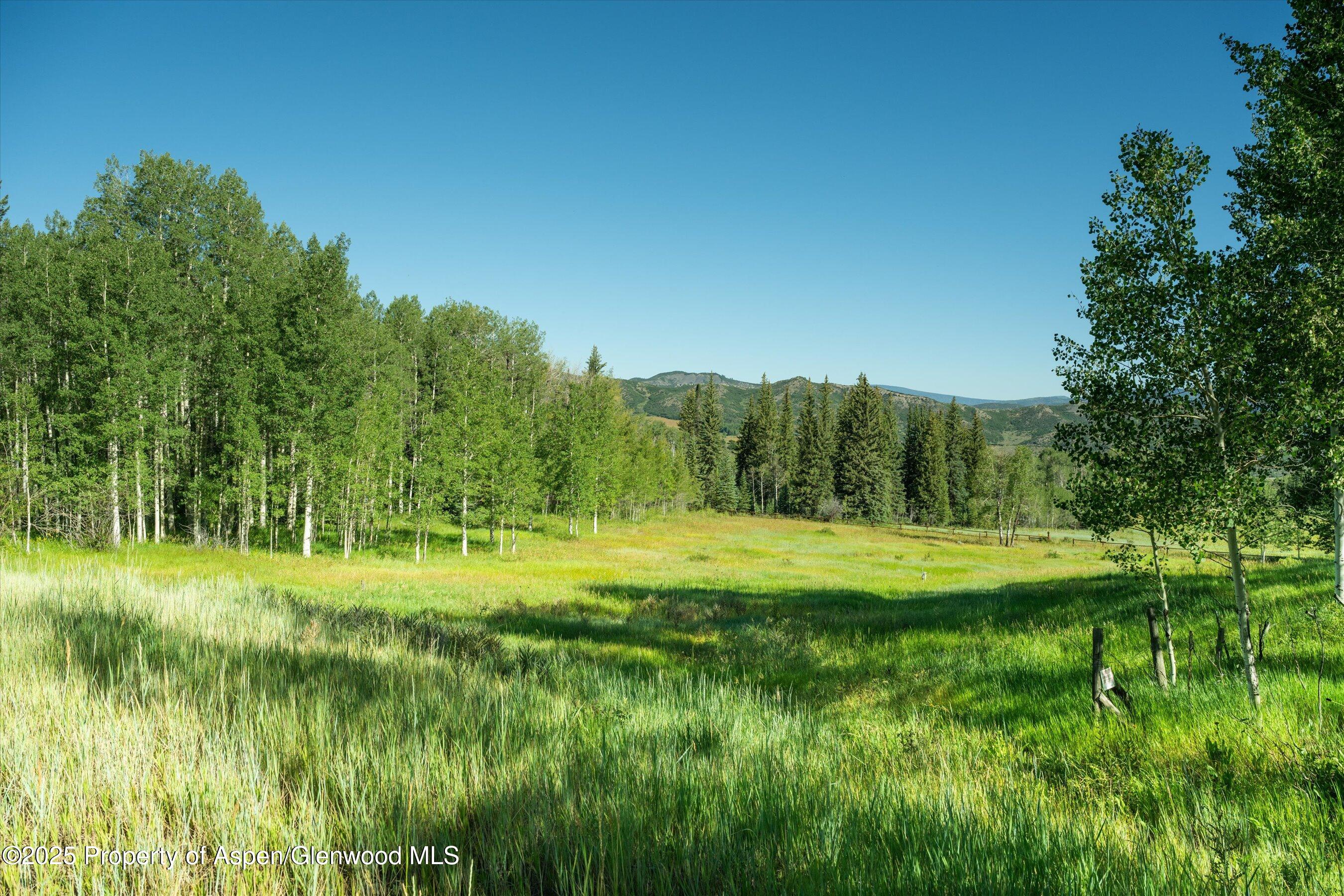 1833 West Buttermilk Road Aspen, CO 81611 - Photo 10 of 18 29-1822wBmilk_24072929