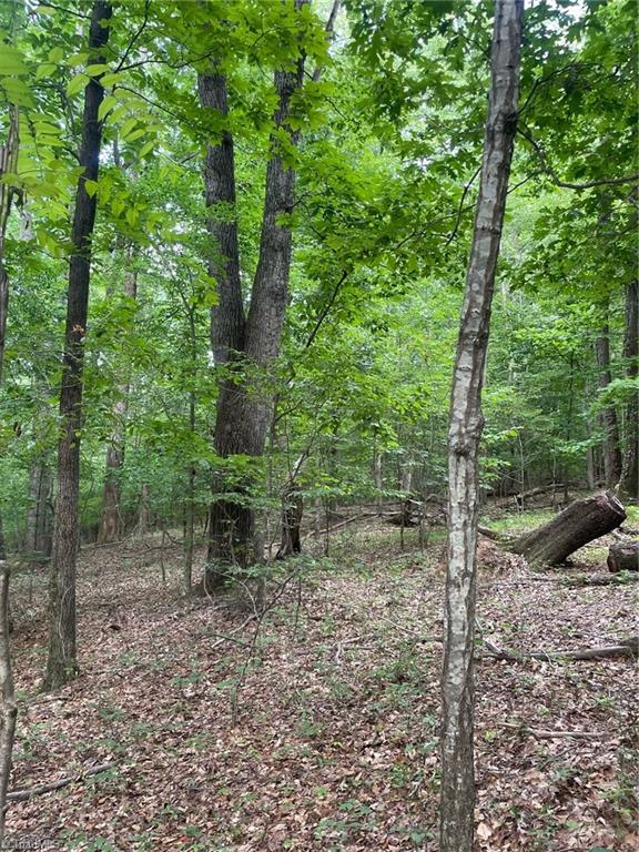 2165 Highway 770 Sandy Ridge, NC 27046 - Photo 1 of 28 Gallery Image 1