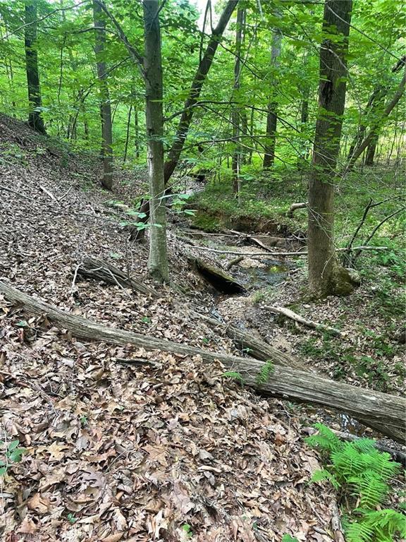 2165 Highway 770 Sandy Ridge, NC 27046 - Photo 13 of 28 Gallery Image 13