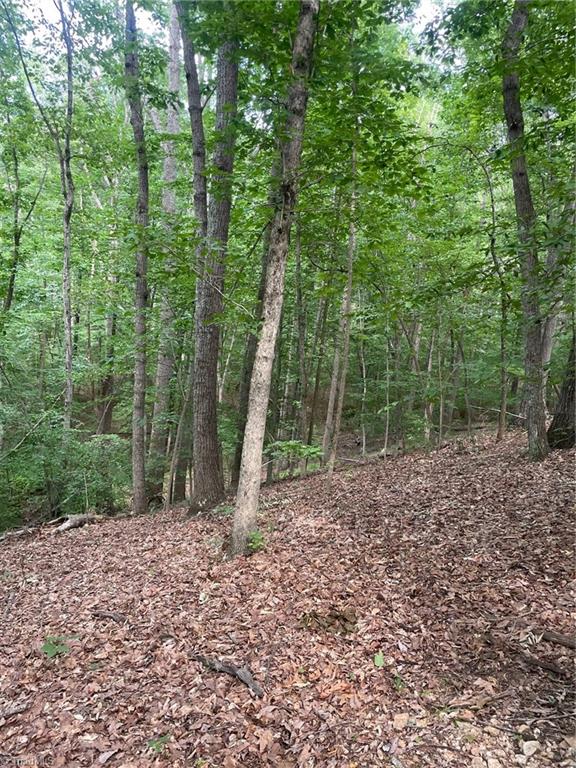 2165 Highway 770 Sandy Ridge, NC 27046 - Photo 14 of 28 Gallery Image 14